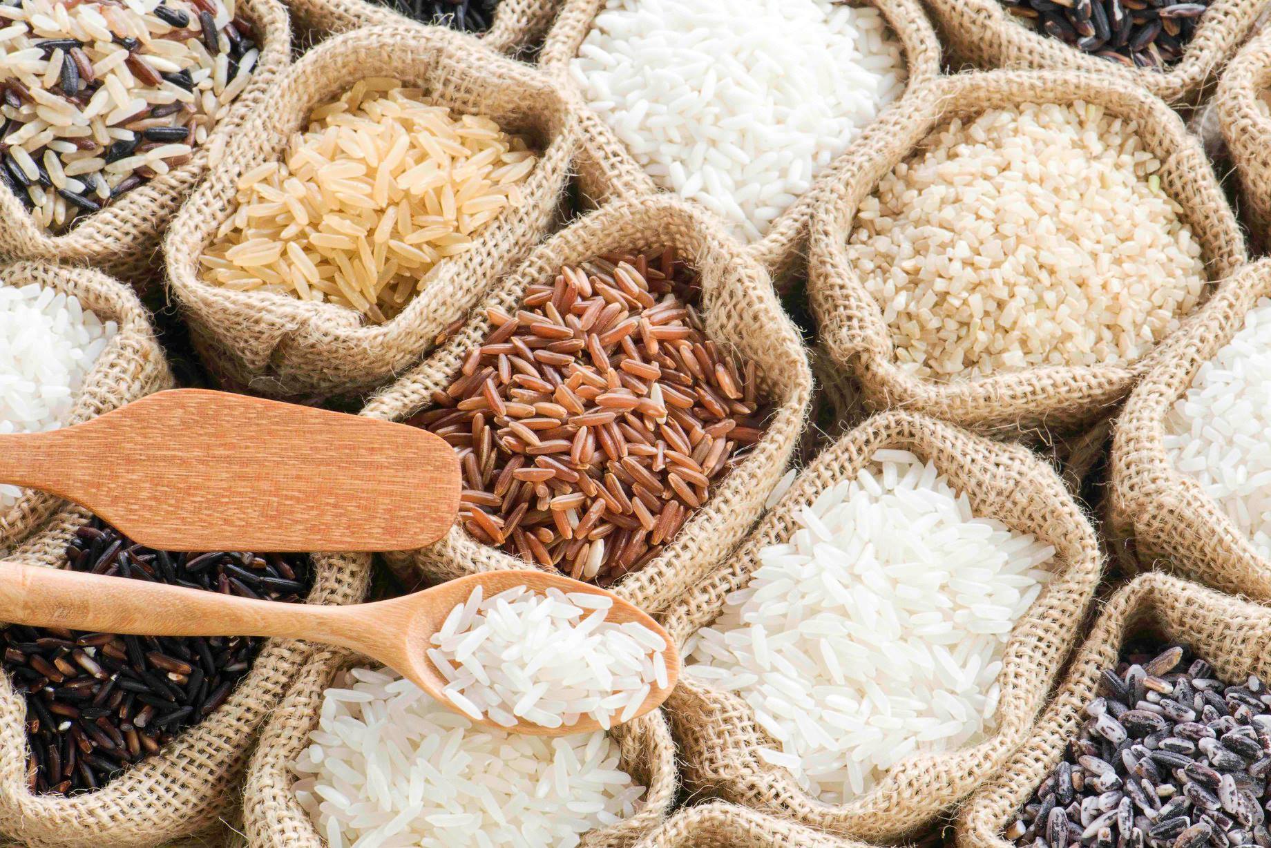 8 Famous Type of Rice Around The World