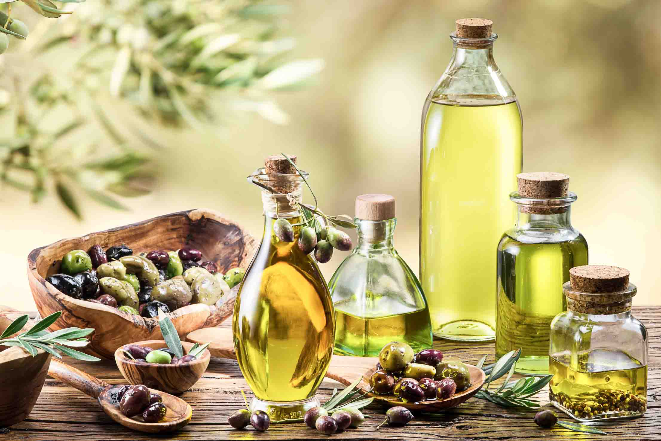 About Olive & Olive Oil