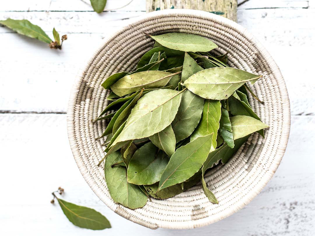Bay_Leaf_Set