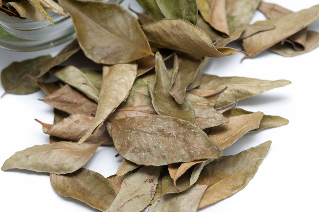 Dried_Bay_Leaf