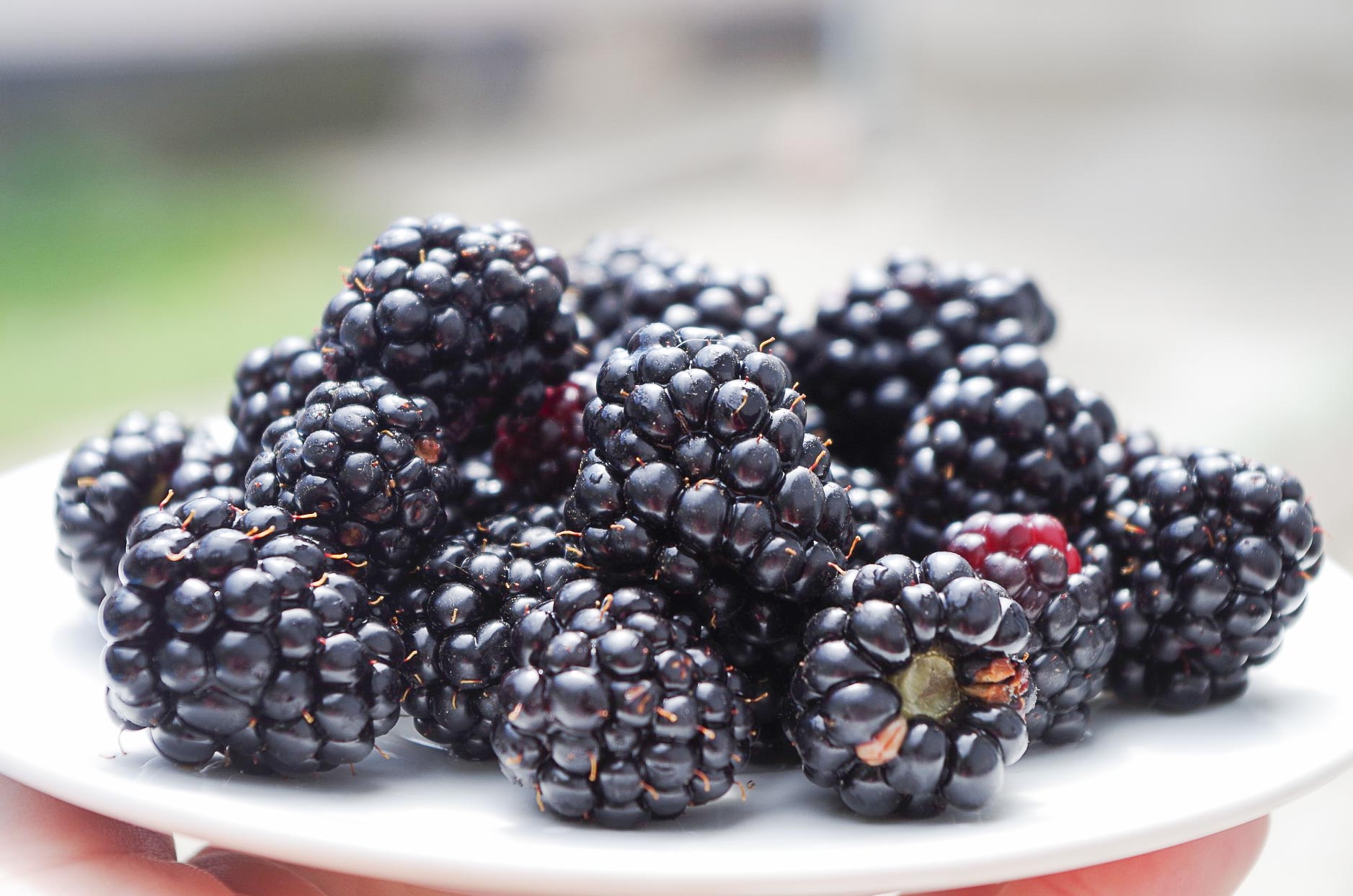 blackberry