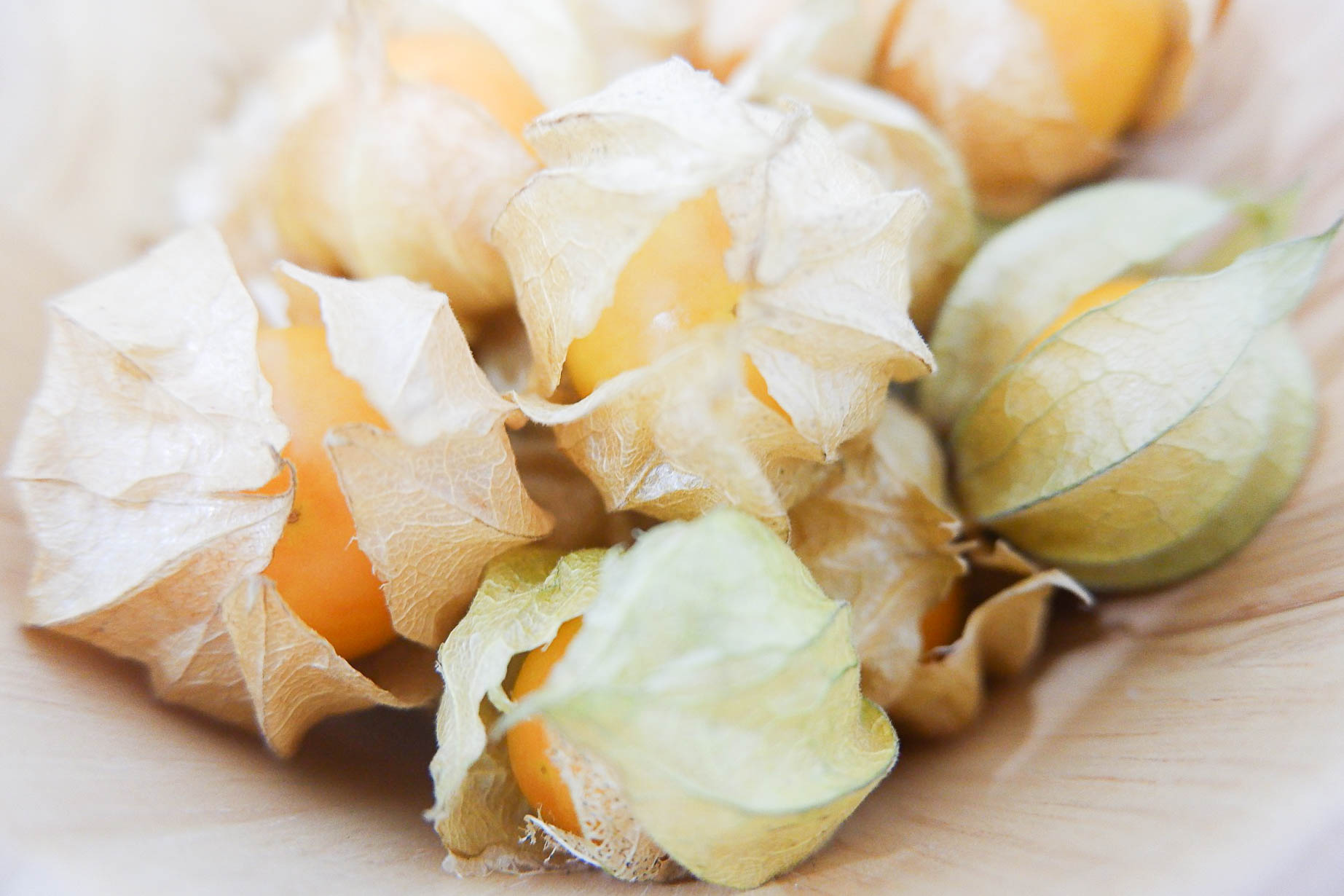 gooseberry