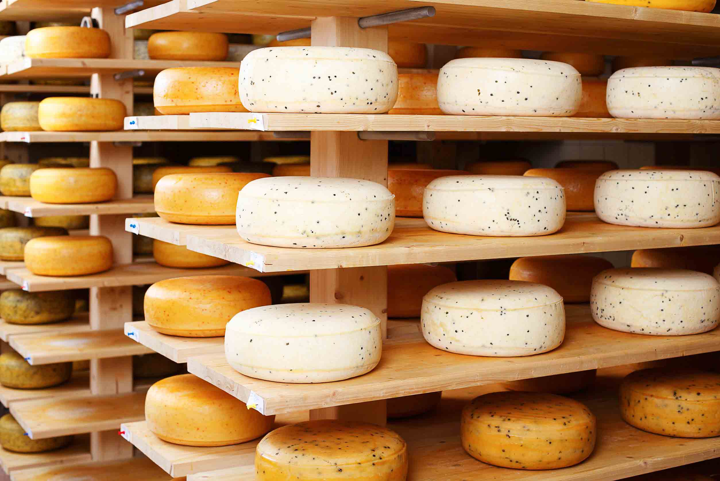 Cheese_Factory
