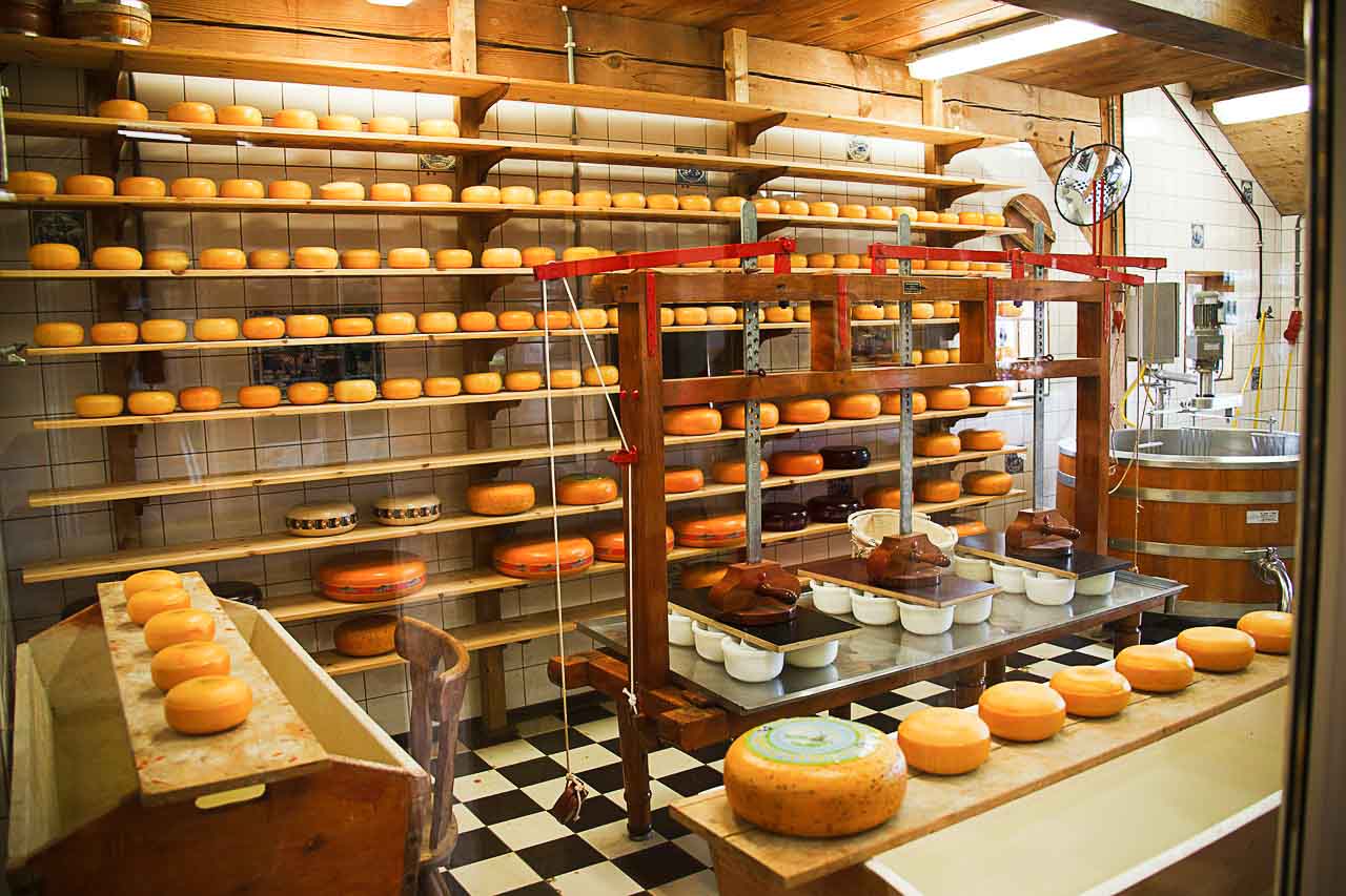 Cheese_Factory_2 (1)