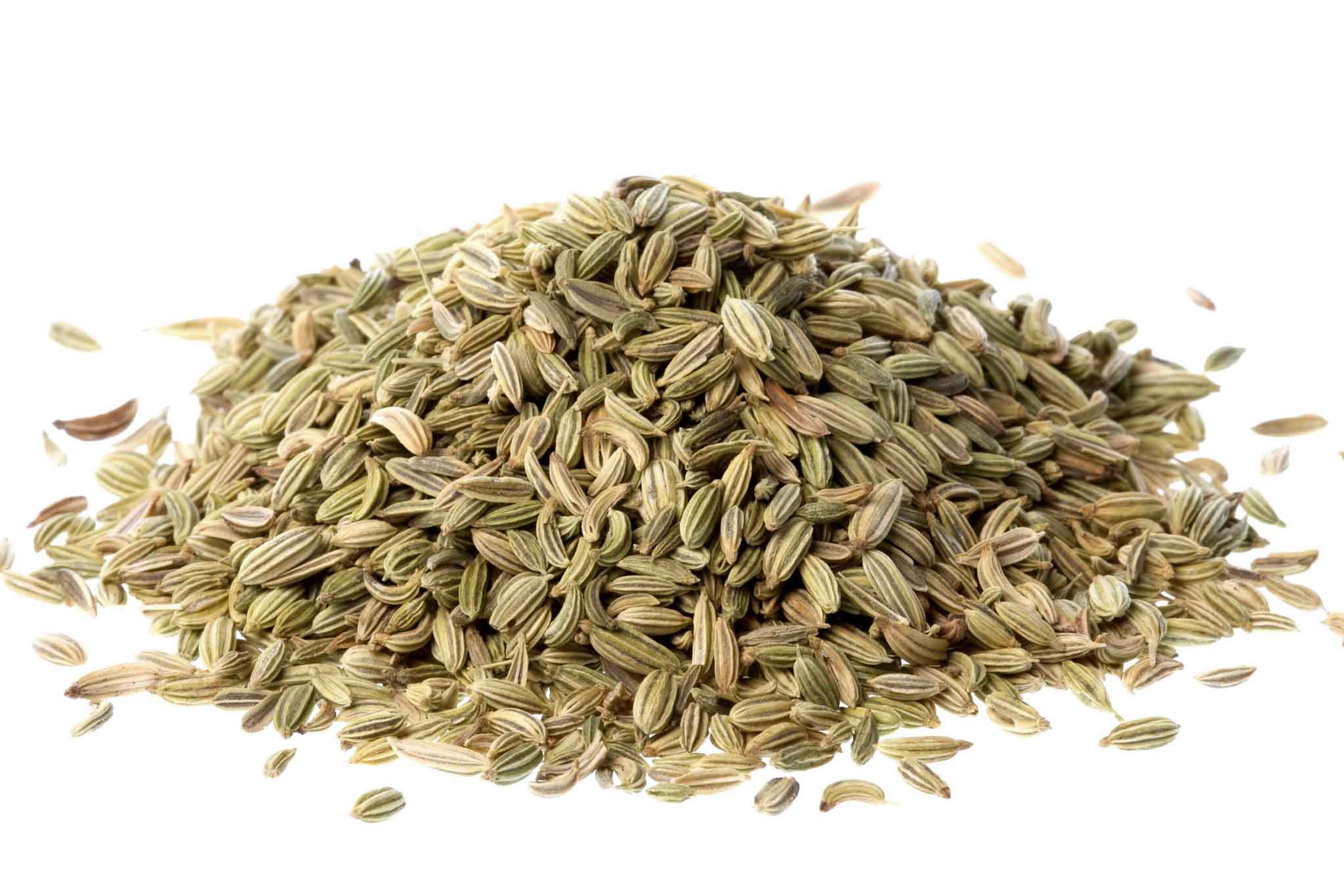 Fennel_Seed