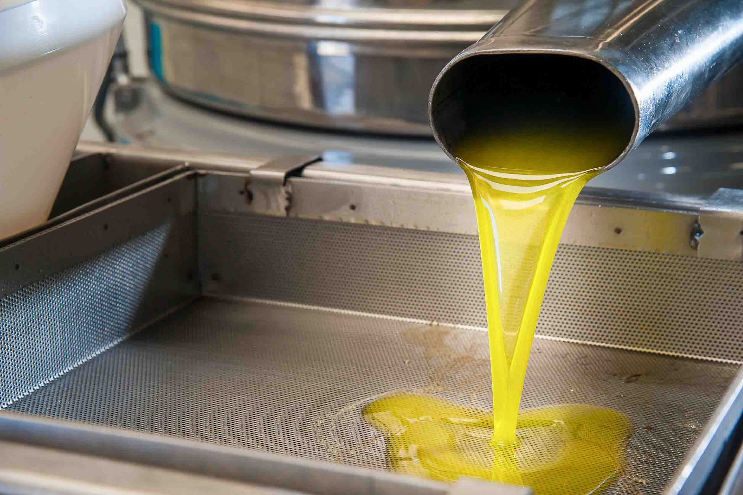 Olive_Oil_Pressing