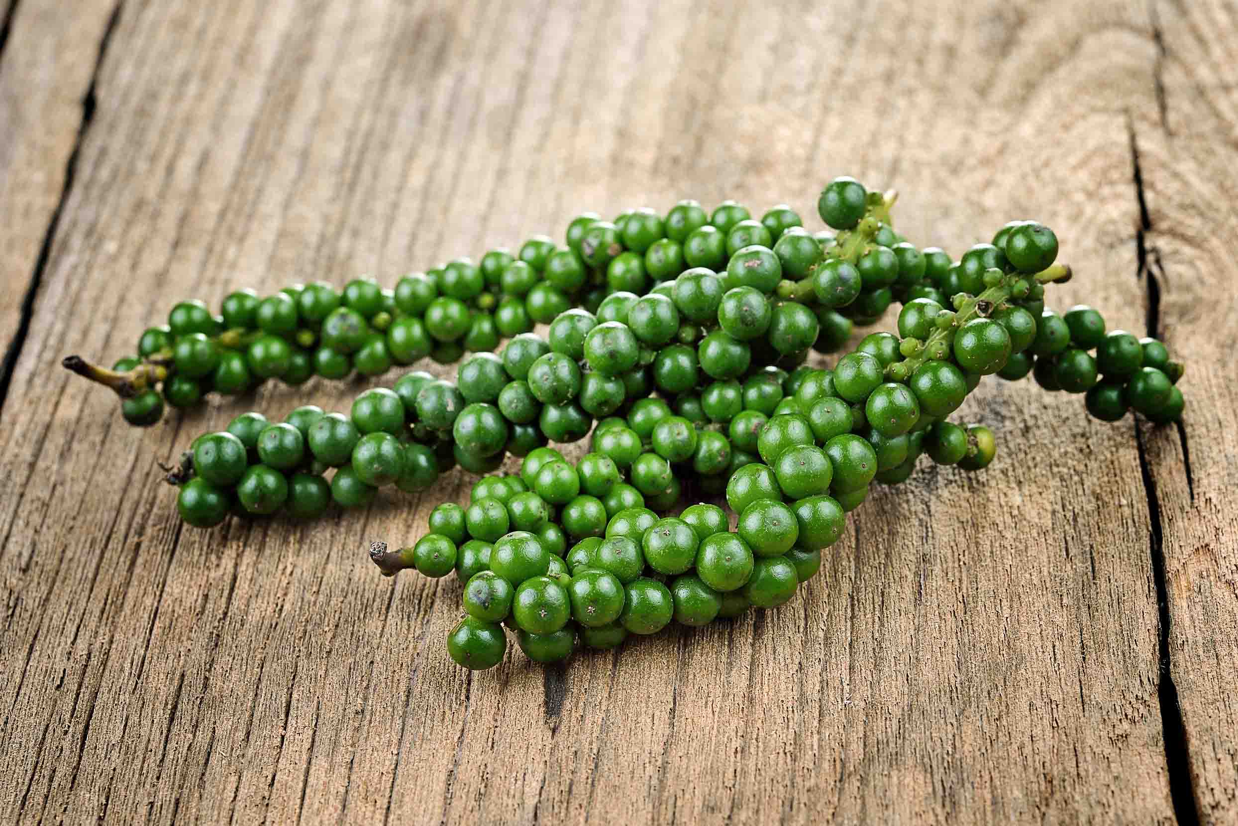 Peppercorn