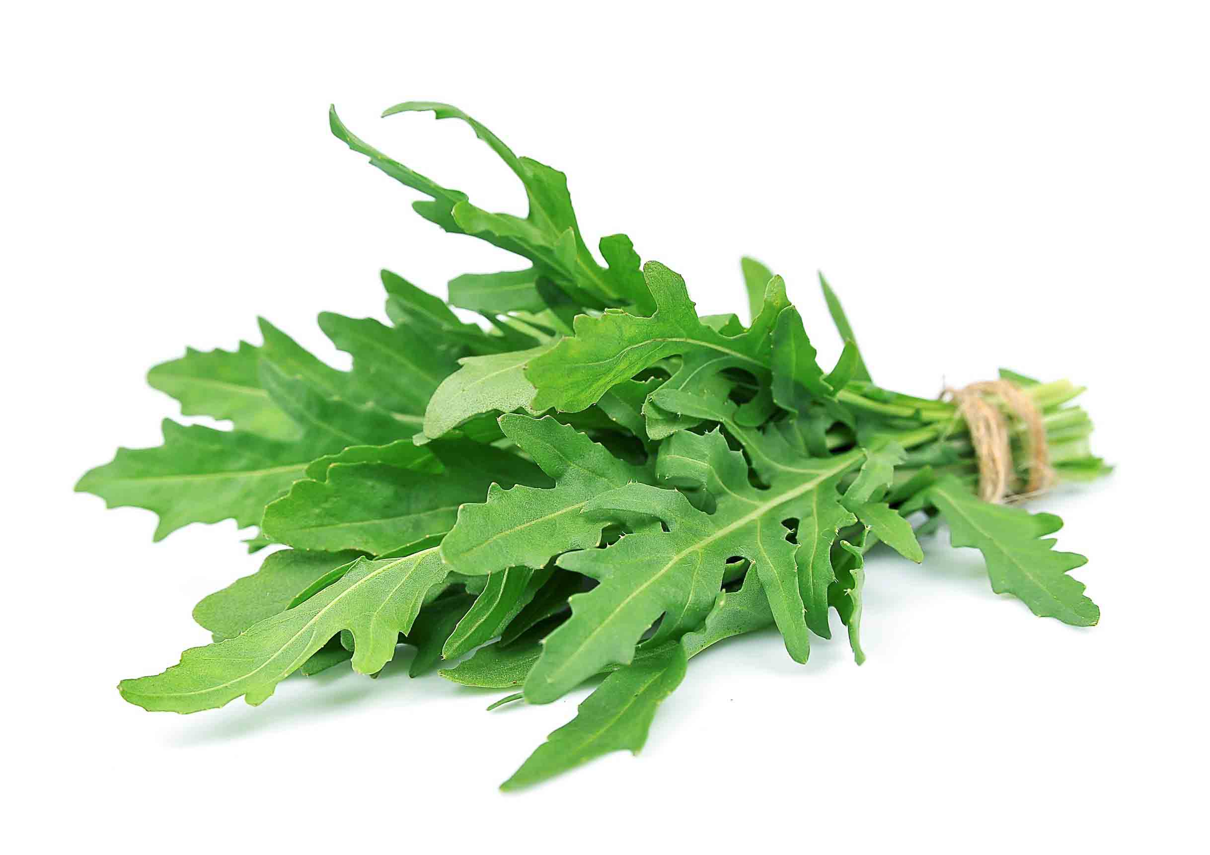Rocket_Arugula