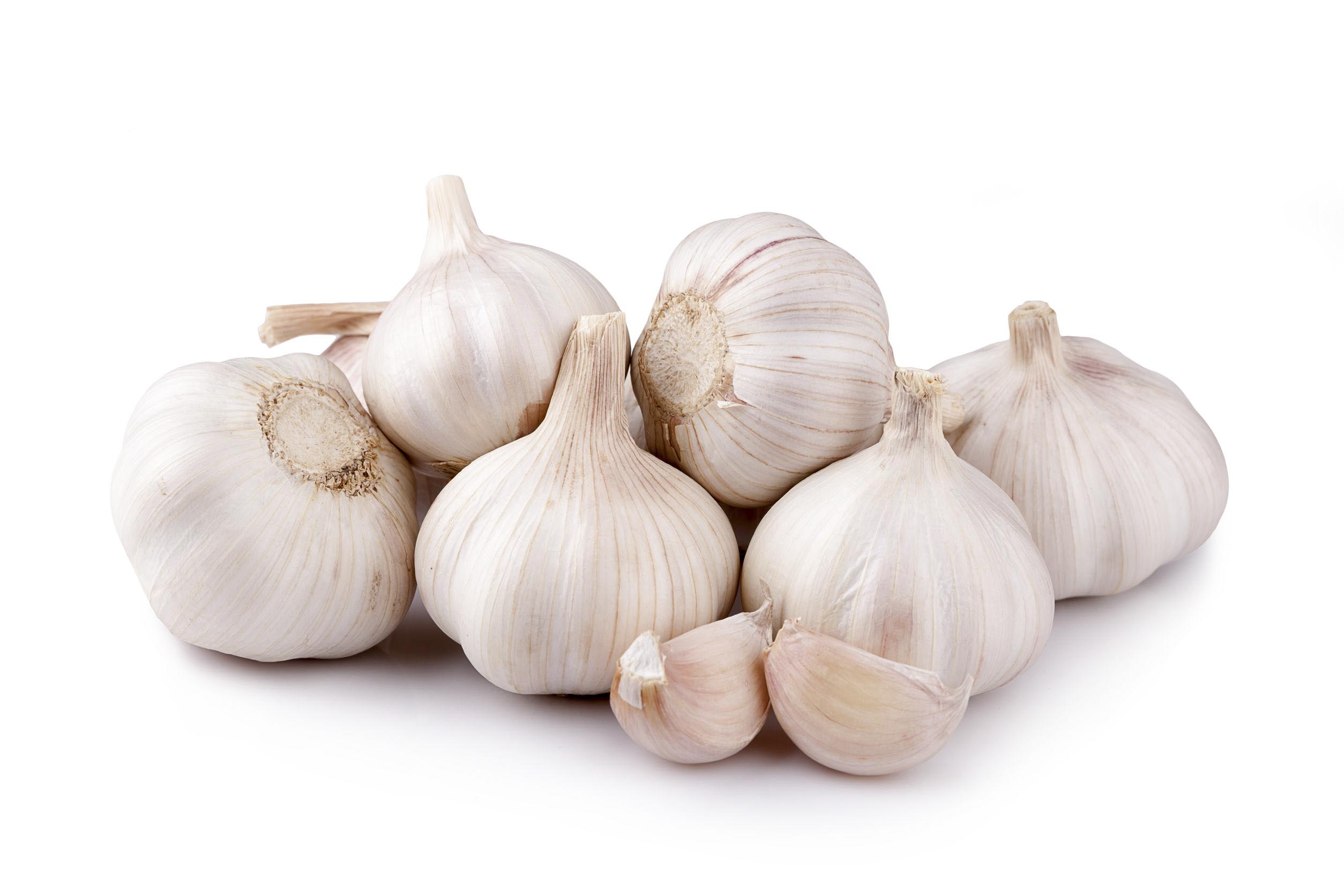 Garlic