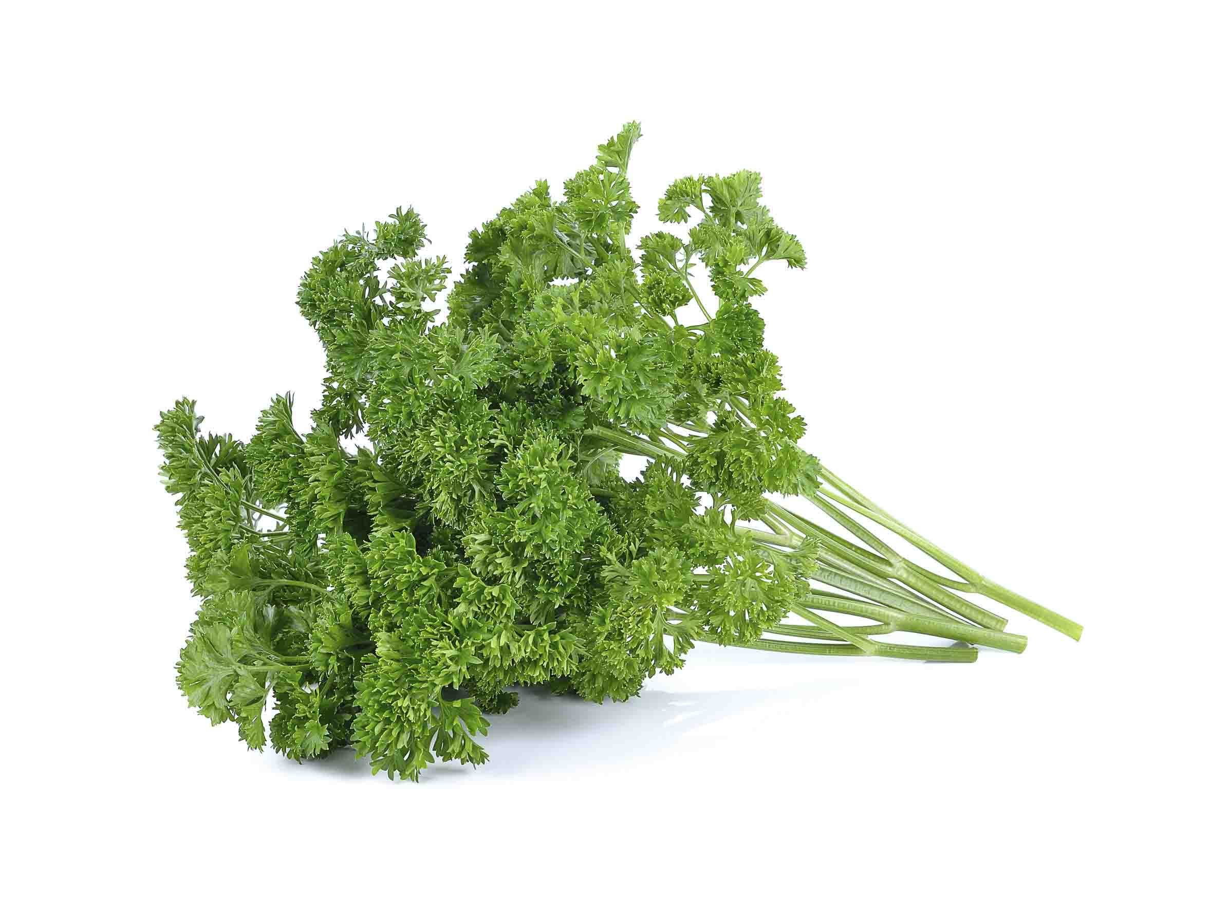 Parsley_Pic