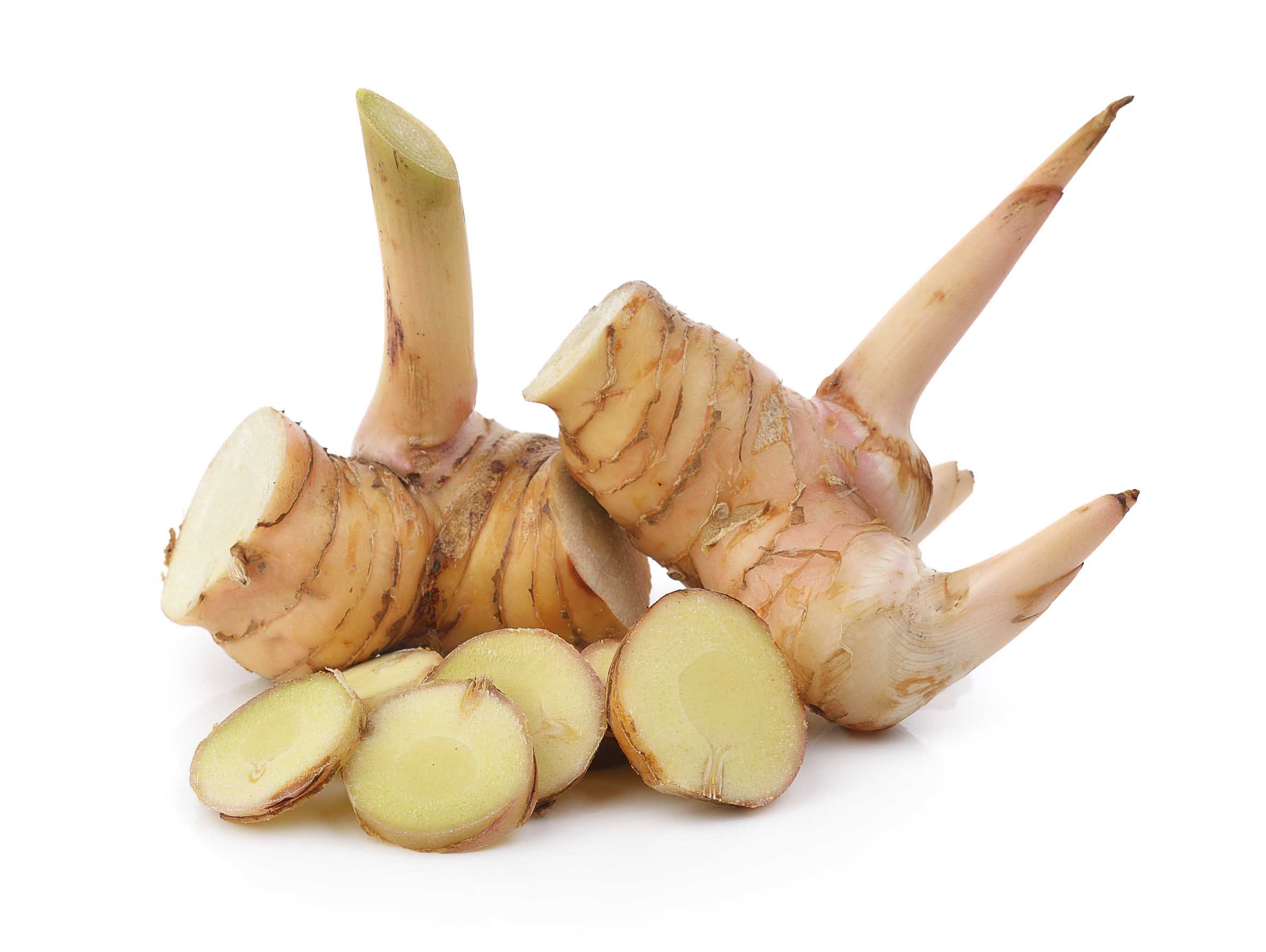 Galangal