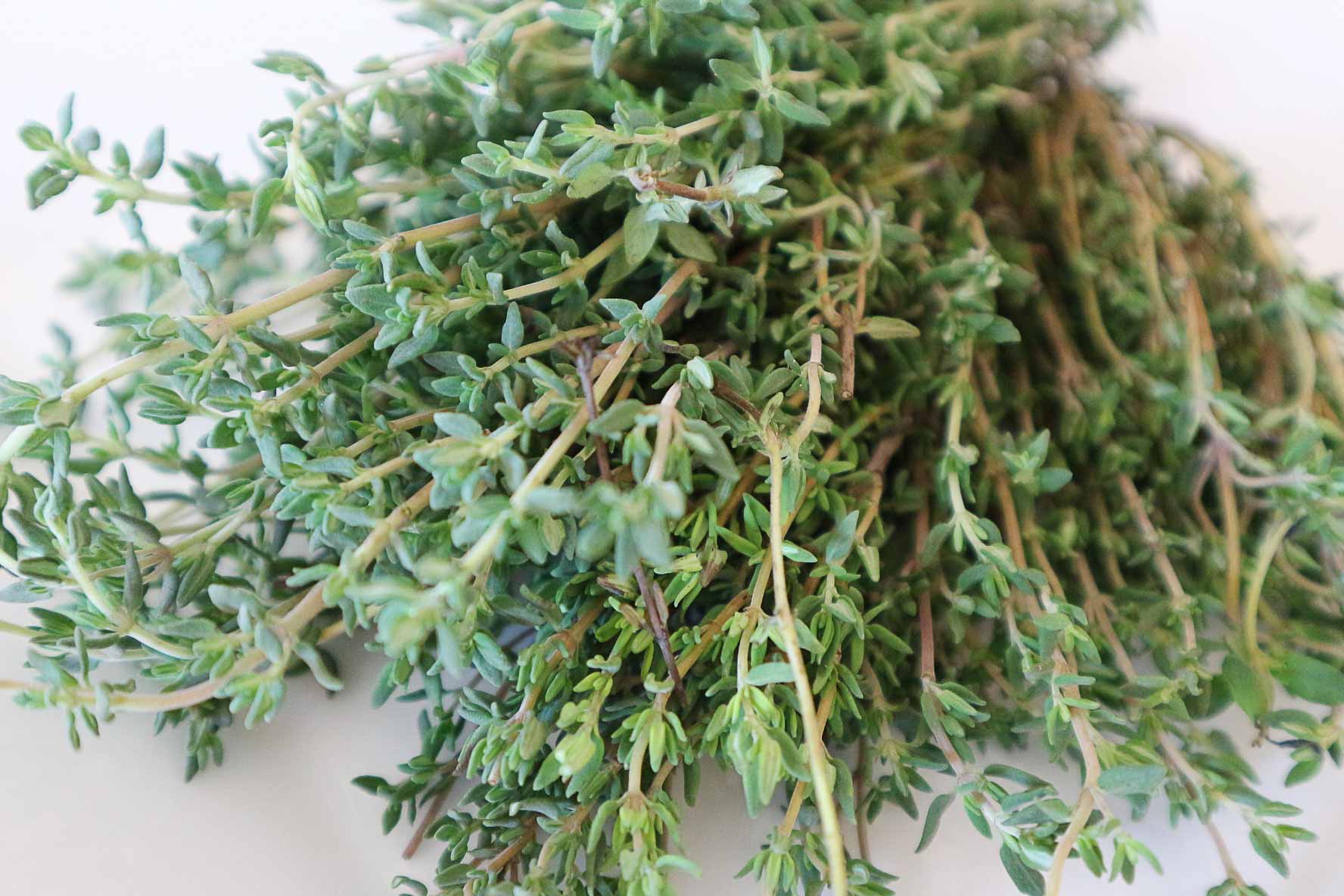 Thyme_Culinary